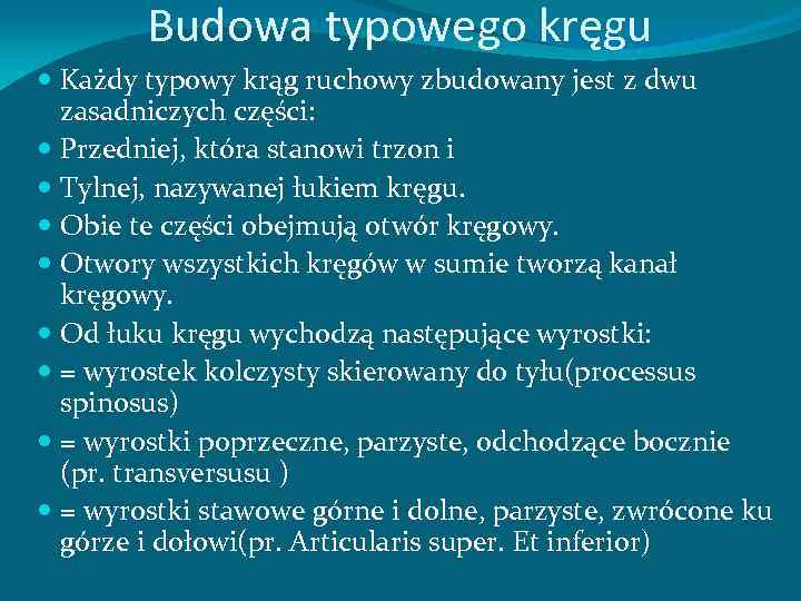 Budowa typowego kręgu Każdy typowy krąg ruchowy zbudowany jest z dwu zasadniczych części: Przedniej,
