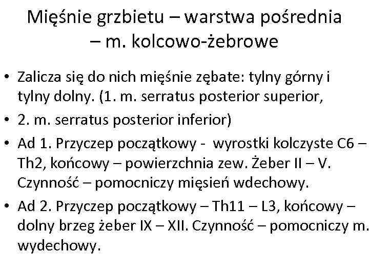 Mięśnie grzbietu – warstwa pośrednia – m. kolcowo-żebrowe • Zalicza się do nich mięśnie