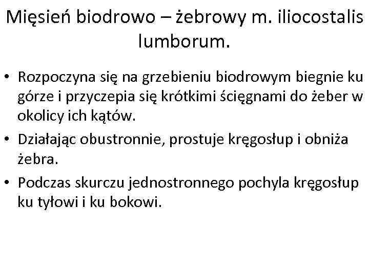 Mięsień biodrowo – żebrowy m. iliocostalis lumborum. • Rozpoczyna się na grzebieniu biodrowym biegnie