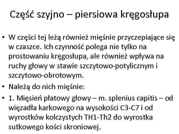 Część szyjno – piersiowa kręgosłupa • W części tej leżą również mięśnie przyczepiające się