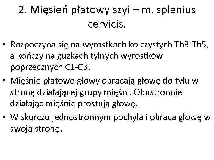 2. Mięsień płatowy szyi – m. splenius cervicis. • Rozpoczyna się na wyrostkach kolczystych