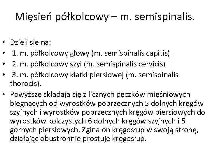 Mięsień półkolcowy – m. semispinalis. Dzieli się na: 1. m. półkolcowy głowy (m. semispinalis