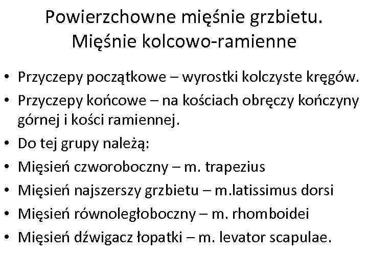Powierzchowne mięśnie grzbietu. Mięśnie kolcowo-ramienne • Przyczepy początkowe – wyrostki kolczyste kręgów. • Przyczepy