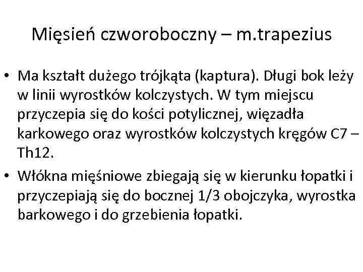 Mięsień czworoboczny – m. trapezius • Ma kształt dużego trójkąta (kaptura). Długi bok leży