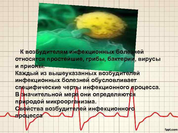 К возбудителям инфекционных болезней относятся простейшие, грибы, бактерии, вирусы и прионы. Каждый из вышеуказанных
