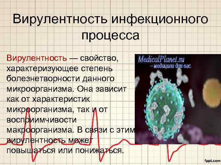 Вирулентность инфекционного процесса Вирулентность — свойство, характеризующее степень болезнетворности данного микроорганизма. Она зависит как