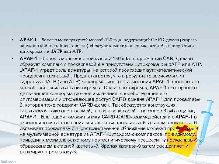  • • APAF-1 – белок с молекулярной массой 130 к. Да, содержащий CARD-домен