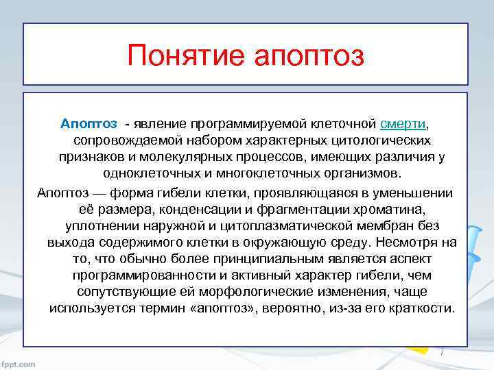 Понятие апоптоз Апоптоз - явление программируемой клеточной смерти, сопровождаемой набором характерных цитологических признаков и