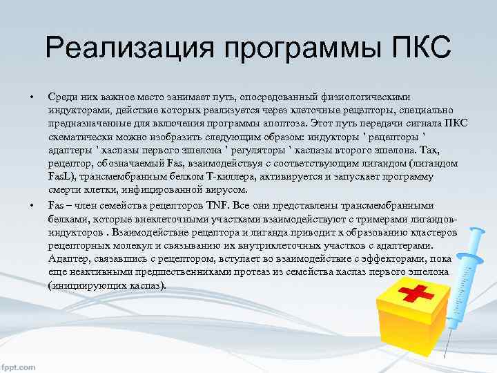 Реализация программы ПКС • • Среди них важное место занимает путь, опосредованный физиологическими индукторами,