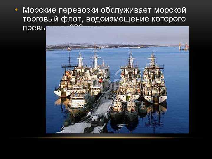  • Морские перевозки обслуживает морской торговый флот, водоизмещение которого превышает 600 млн т.