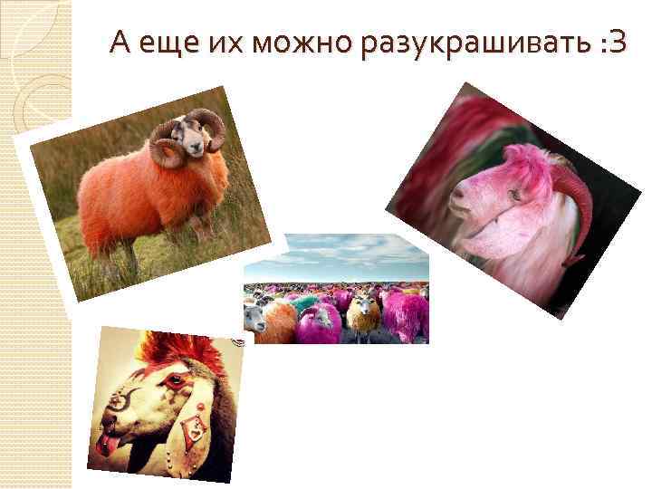 А еще их можно разукрашивать : З 