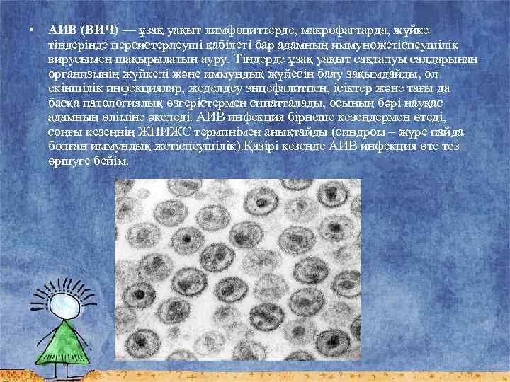  • АИВ (ВИЧ) — ұзақ уақыт лимфоциттерде, макрофагтарда, жүйке тіндерінде персистерлеуші қабілеті бар