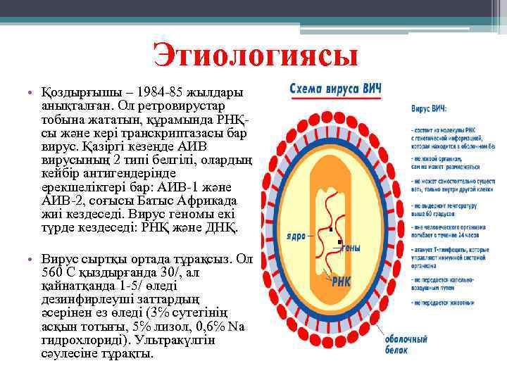 Этиологиясы • Қоздырғышы – 1984 -85 жылдары анықталған. Ол ретровирустар тобына жататын, құрамында РНҚсы