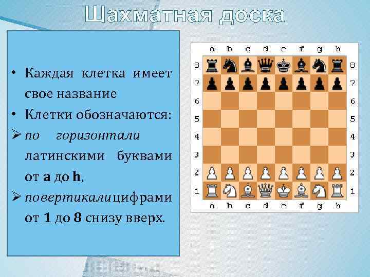 Шахматная доска • Каждая клетка имеет свое название • Клетки обозначаются: Ø по горизонтали
