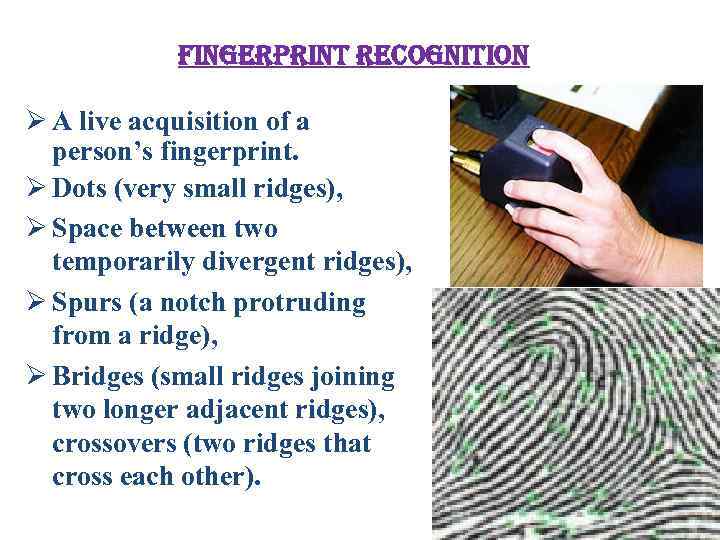 fingerprint recognition Ø A live acquisition of a person’s fingerprint. Ø Dots (very small
