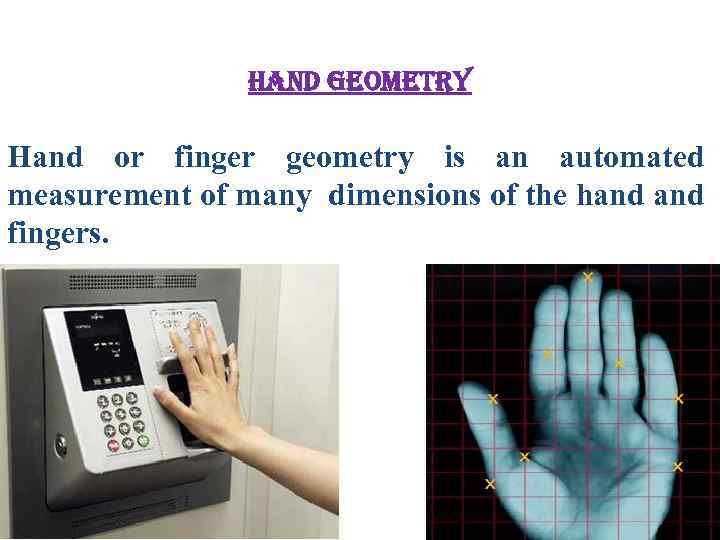 hand geometry Hand or finger geometry is an automated measurement of many dimensions of