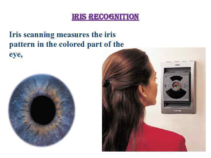 iris recognition Iris scanning measures the iris pattern in the colored part of the