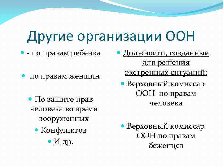 Другие организации ООН - по правам ребенка по правам женщин По защите прав человека