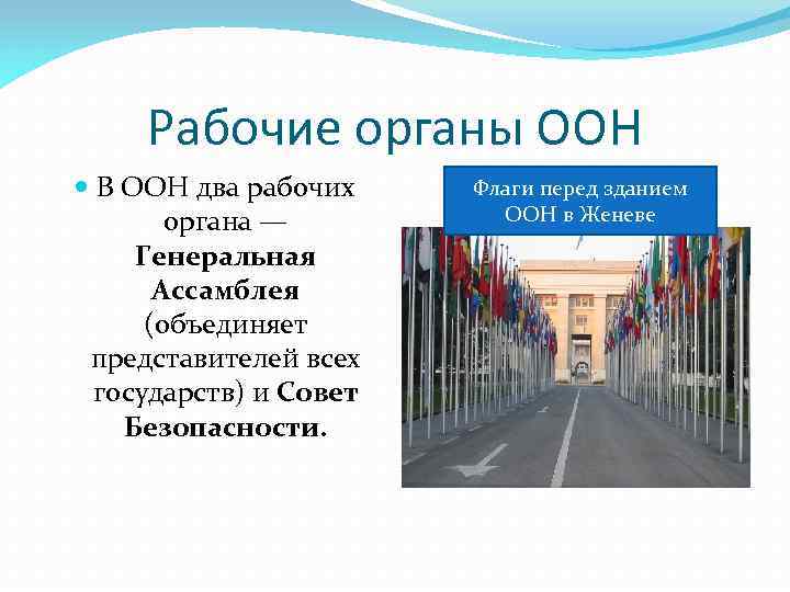 Рабочие органы ООН В ООН два рабочих органа — Генеральная Ассамблея (объединяет представителей всех