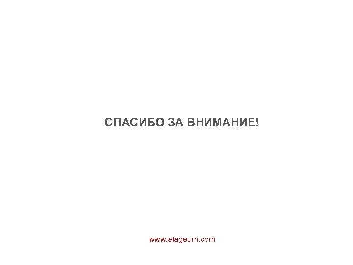 СПАСИБО ЗА ВНИМАНИЕ! www. alageum. com 
