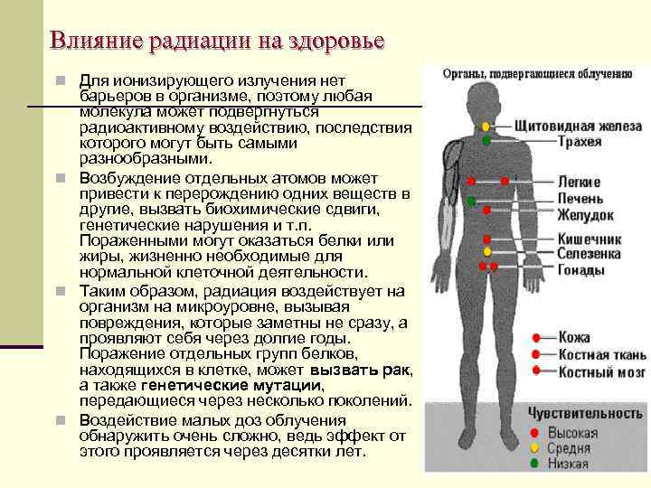 Влияние радиации на здоровье n Для ионизирующего излучения нет барьеров в организме, поэтому любая