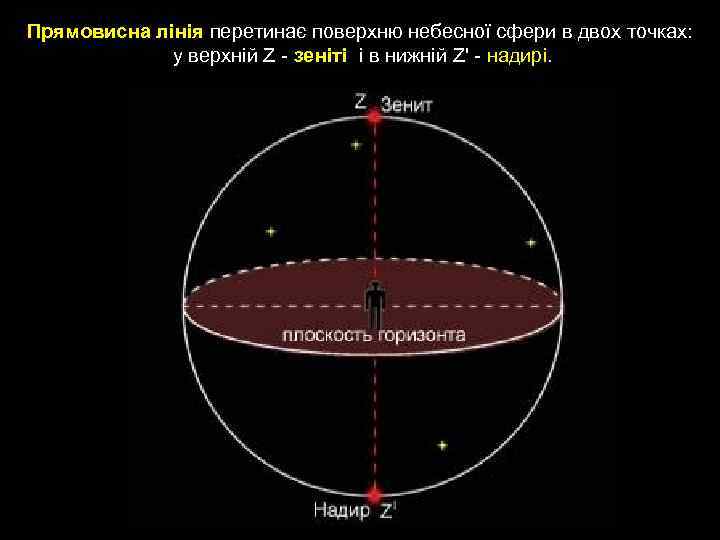 Прямовисна лінія перетинає поверхню небесної сфери в двох точках: у верхній Z - зеніті