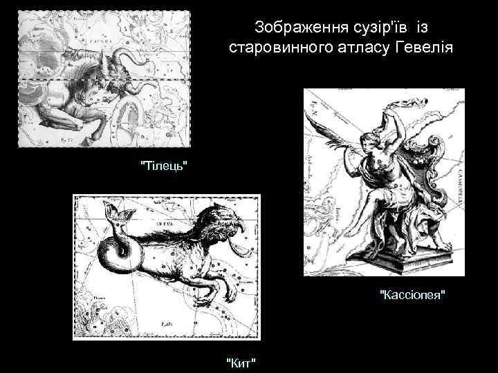 Зображення сузір'їв із старовинного атласу Гевелія "Тілець" "Кассіопея" "Кит" 