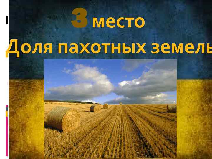 3 место Доля пахотных земель 