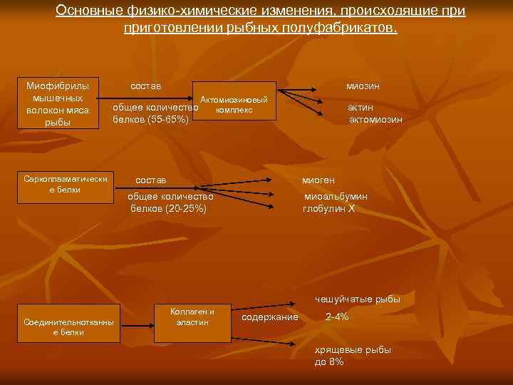 Основные физико-химические изменения, происходящие приготовлении рыбных полуфабрикатов. Миофибрилы мышечных волокон мяса рыбы состав миозин