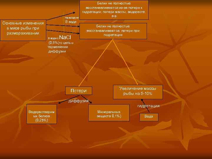 На воздухе Белки не полностью восстанавливаются из-за потери к гидратации; потери массы, водораств. в-в