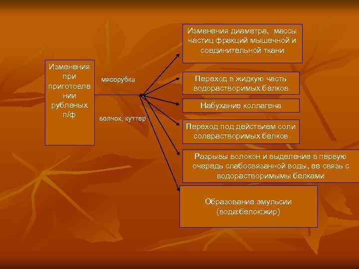 Изменения диаметра, массы частиц фракций мышечной и соединительной ткани Изменения приготовле нии рубленых п/ф