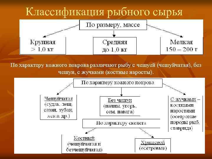 Классификация морепродуктов схема