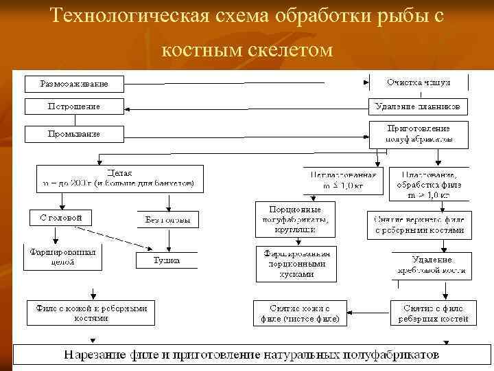 Технологическая схема первичной обработки рыбы с костным скелетом