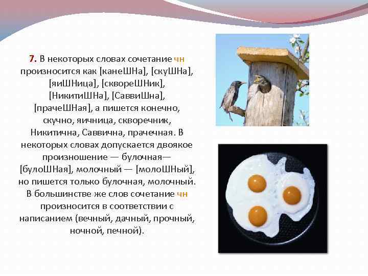 7. В некоторых словах сочетание чн произносится как [кане. ШНа], [ску. ШНа], [яи. ШНица],