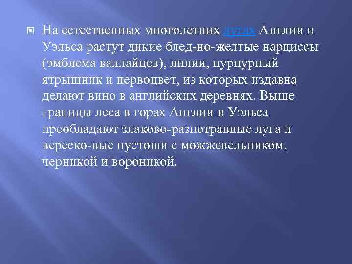  На естественных многолетних лугах Англии и Уэльса растут дикие блед но желтые нарциссы