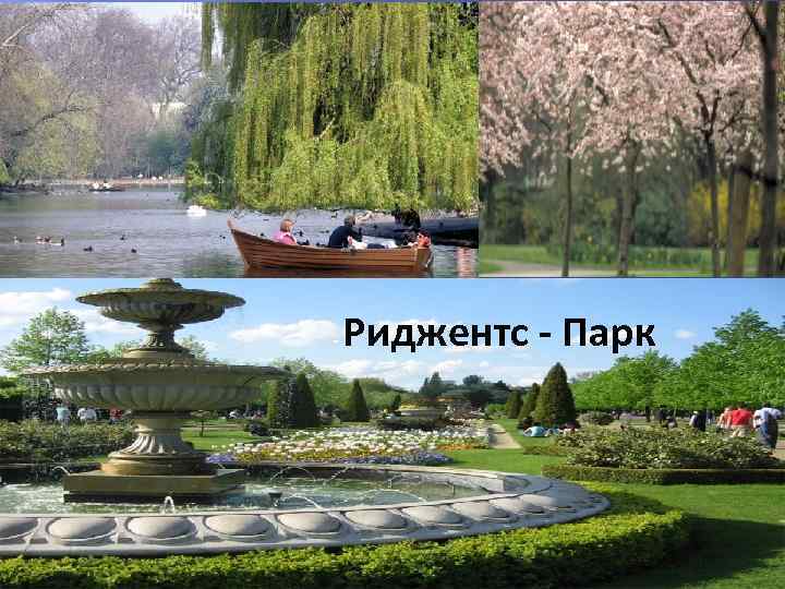 - Риджентс - Парк 