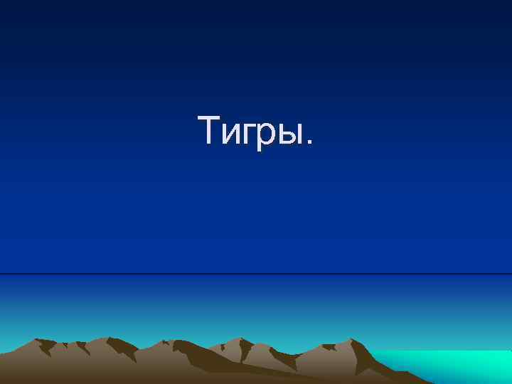 Тигры. 