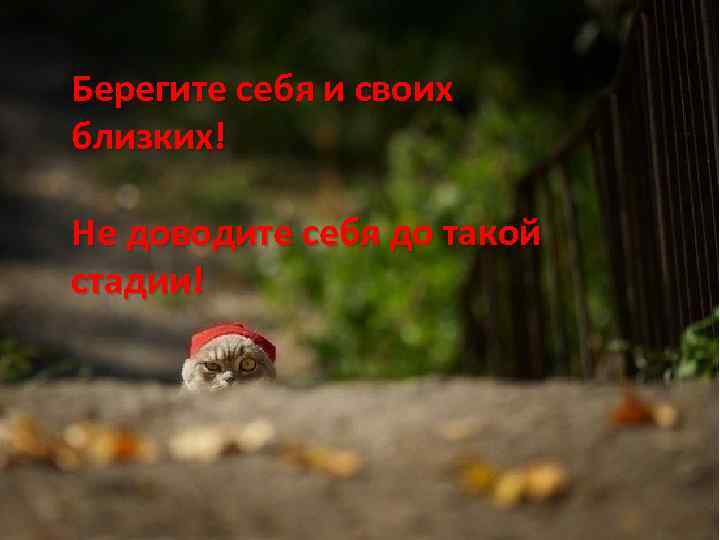 Берегите себя и своих близких! Не доводите себя до такой стадии! 