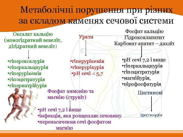 Метаболічні порушення при різних за складом каменях сечової системи Оксалат кальцію (моногідратний вевеліт, дігідратний