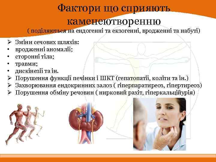 Фактори що сприяють каменеютворенню ( поділяються на ендогенні та екзогенні, вродженні та набуті) Ø