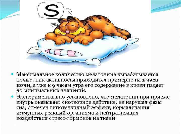  Максимальное количество мелатонина вырабатывается ночью, пик активности приходится примерно на 2 часа ночи,