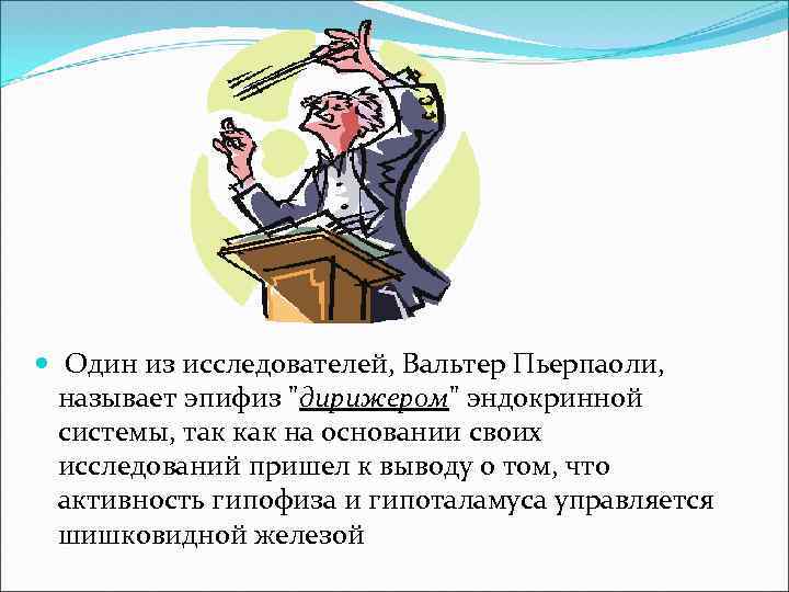  Один из исследователей, Вальтер Пьерпаоли, называет эпифиз 