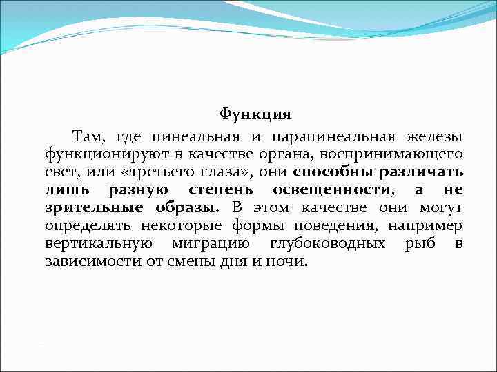 Функция Там, где пинеальная и парапинеальная железы функционируют в качестве органа, воспринимающего свет, или