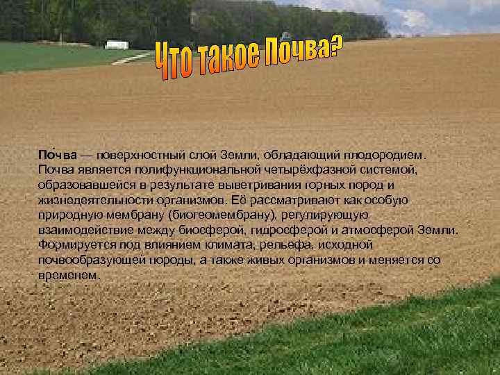 По чва — поверхностный слой Земли, обладающий плодородием. Почва является полифункциональной четырёхфазной системой, образовавшейся