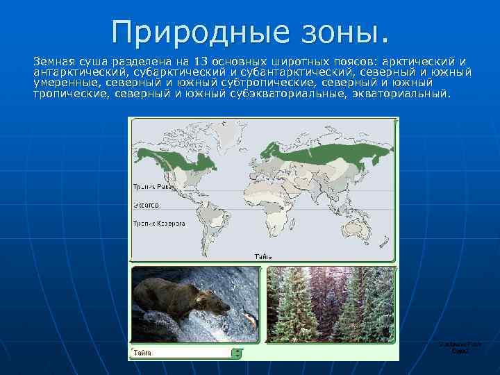 Природные зоны. Земная суша разделена на 13 основных широтных поясов: арктический и антарктический, субарктический