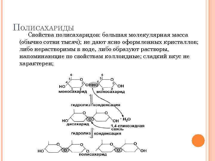 ПОЛИСАХАРИДЫ Свойства полисахаридов: большая молекулярная масса (обычно сотни тысяч); не дают ясно оформленных кристаллов;