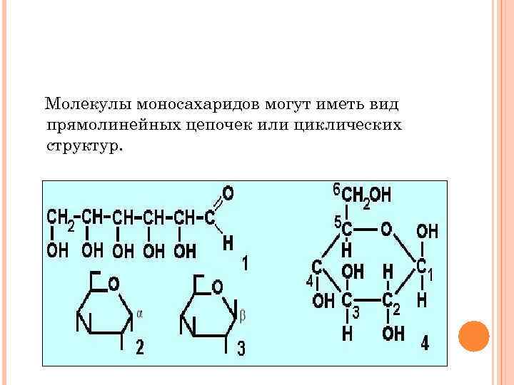 Молекулы моносахаридов могут иметь вид прямолинейных цепочек или циклических структур. 