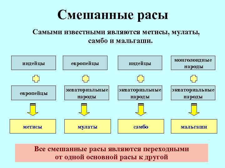 Смешанные расы Самыми известными являются метисы, мулаты, самбо и мальгаши. индейцы европейцы индейцы монголоидные