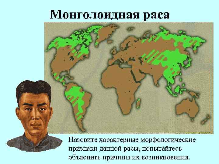 Монголоидная раса Назовите характерные морфологические признаки данной расы, попытайтесь объяснить причины их возникновения. 