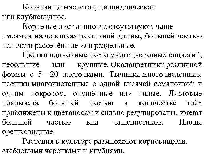 Корневище мясистое, цилиндрическое или клубневидное. Корневые листья иногда отсутствуют, чаще имеются на черешках различной
